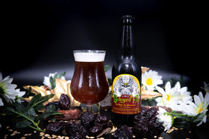 Bière artisanale brune aux fruits secs et pruneau par Bellegard'Elfe