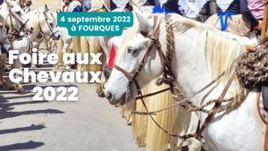 Dimanche 4 septembre 2022 à Fourques- Foire aux chevaux